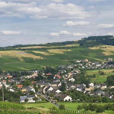 招待所 Haus Elfriede 孔茨