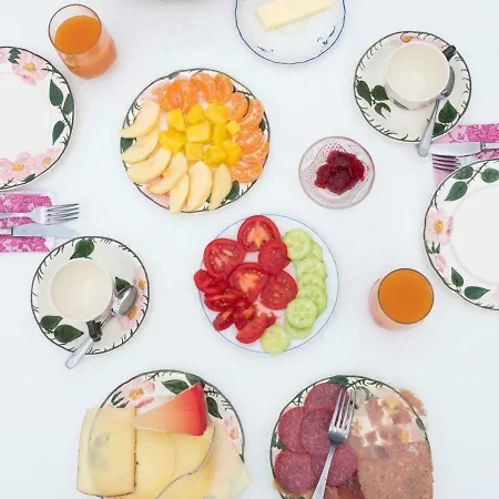 Haus Elfriede 招待所