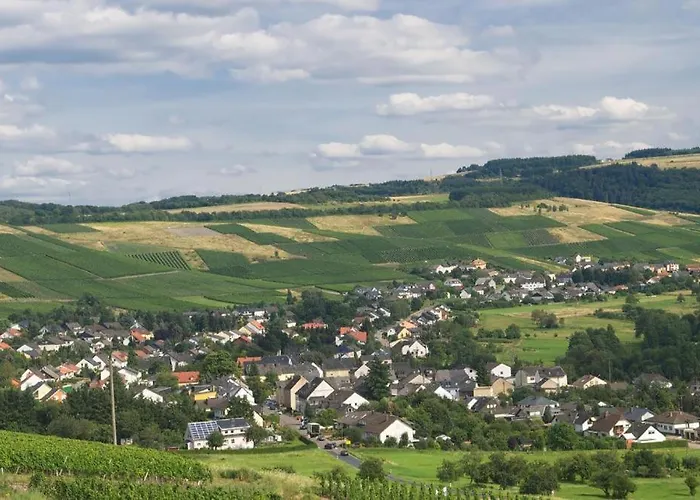 게스트하우스 Haus Elfriede 콘즈